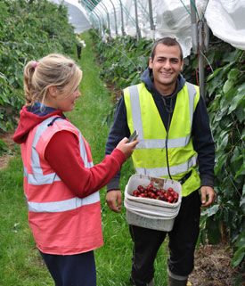 seasonal work